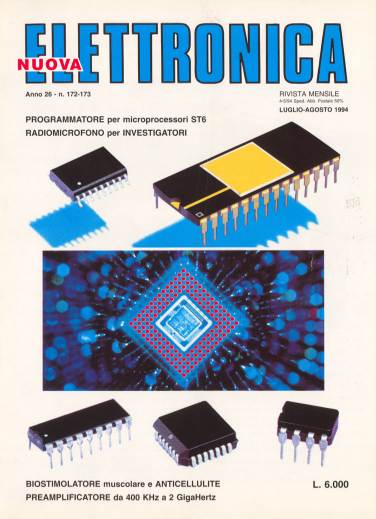 Nuova elettronica 172-173.jpg (32094 byte)